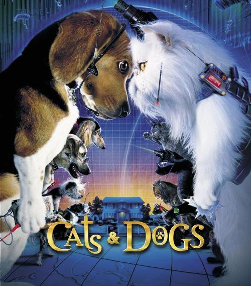 京东称已向工商总局实名举报阿里扰乱电商市场